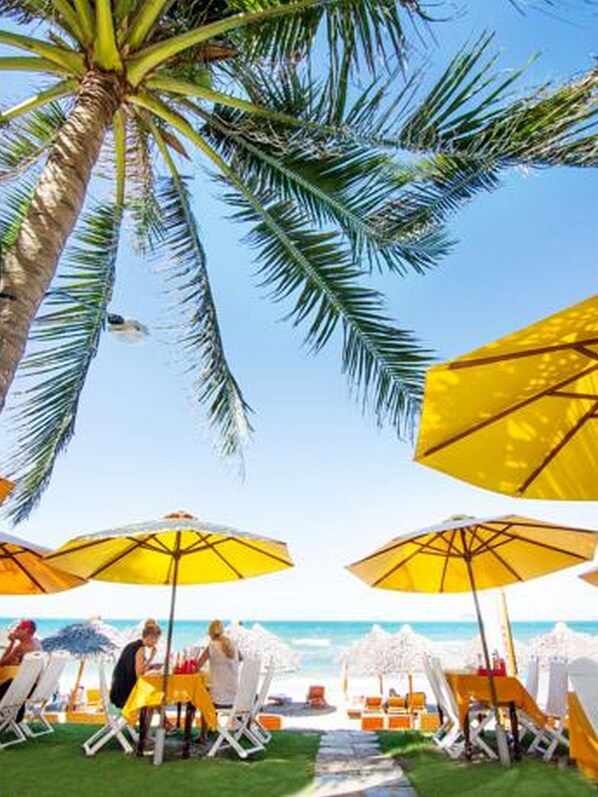 View from property - Garden Aroma Homestay Hoi An (Da Nang)