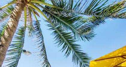 Garden Aroma Homestay Hoi An