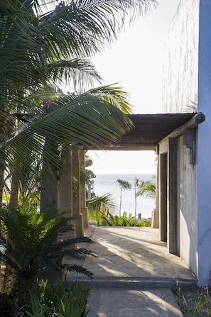 A covered outdoor area with palm trees, a concrete pathway, and a view of the sea.