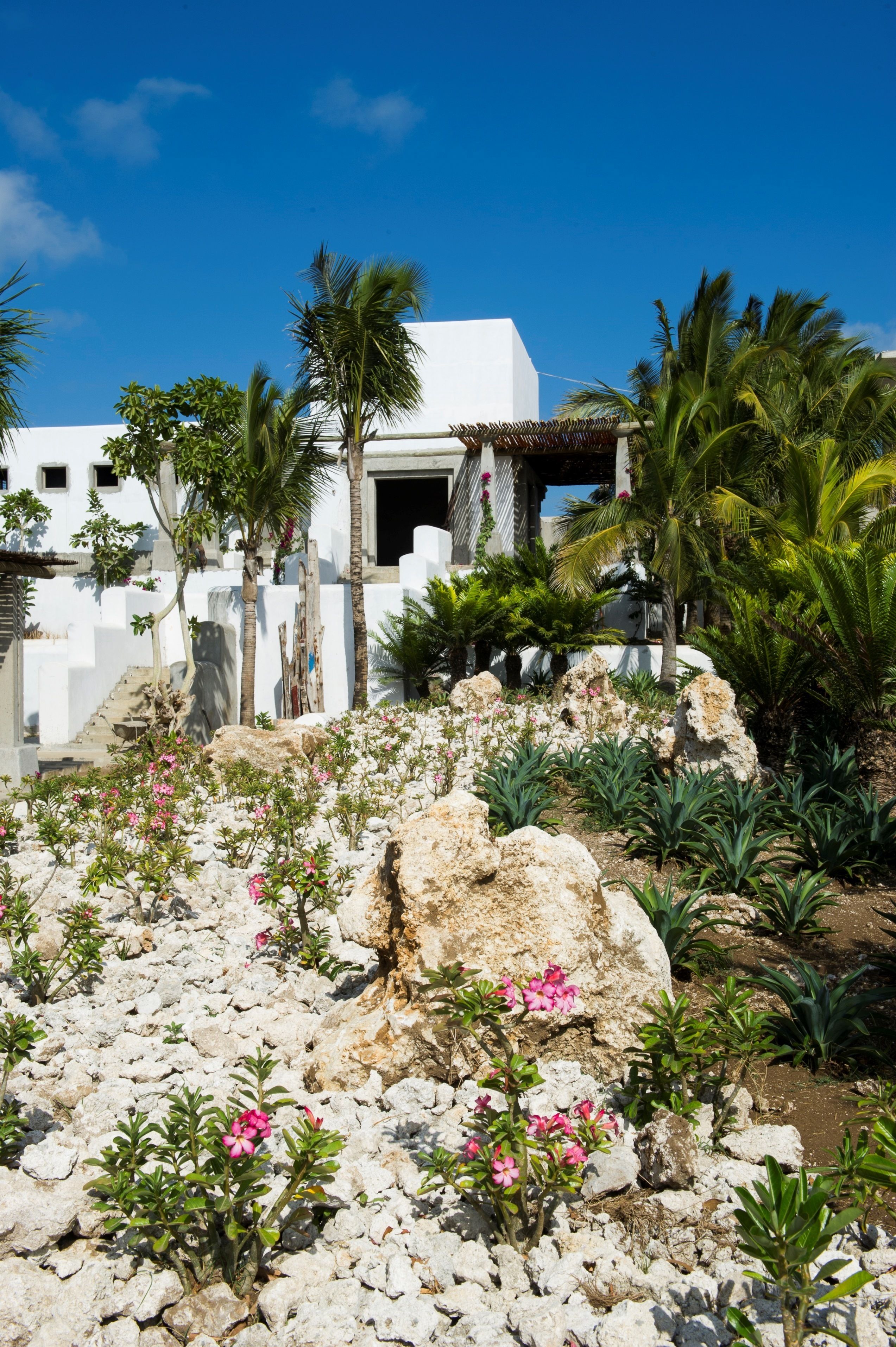 Vista frontal de la propiedad