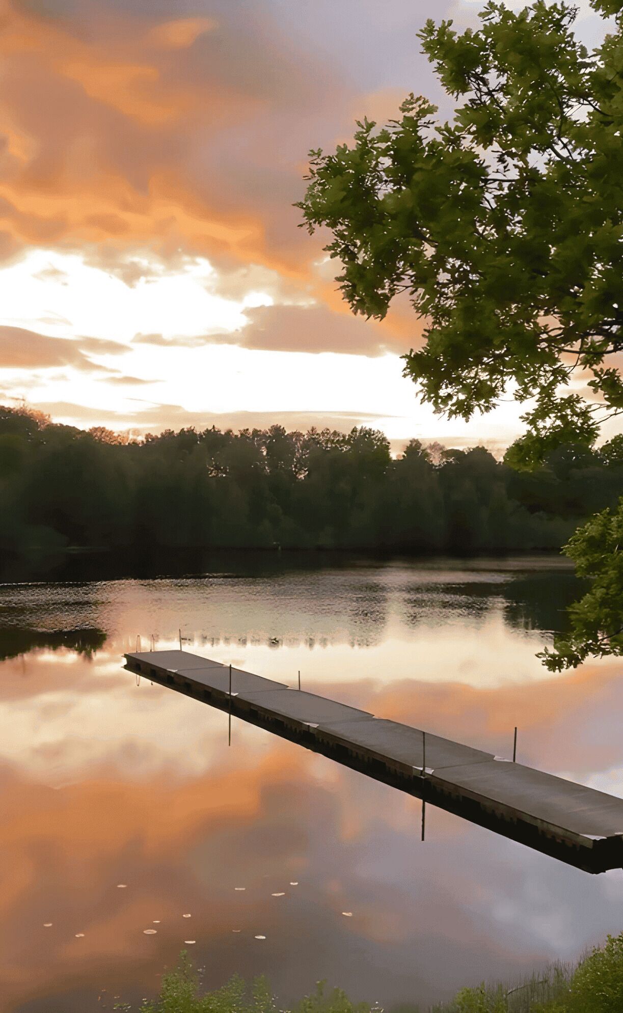 A calm lake with a dock extending into the water, surrounded by trees and a sunset sky.