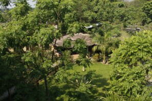 Property grounds - Chitwan Safari Camp & Lodge (Sauraha)