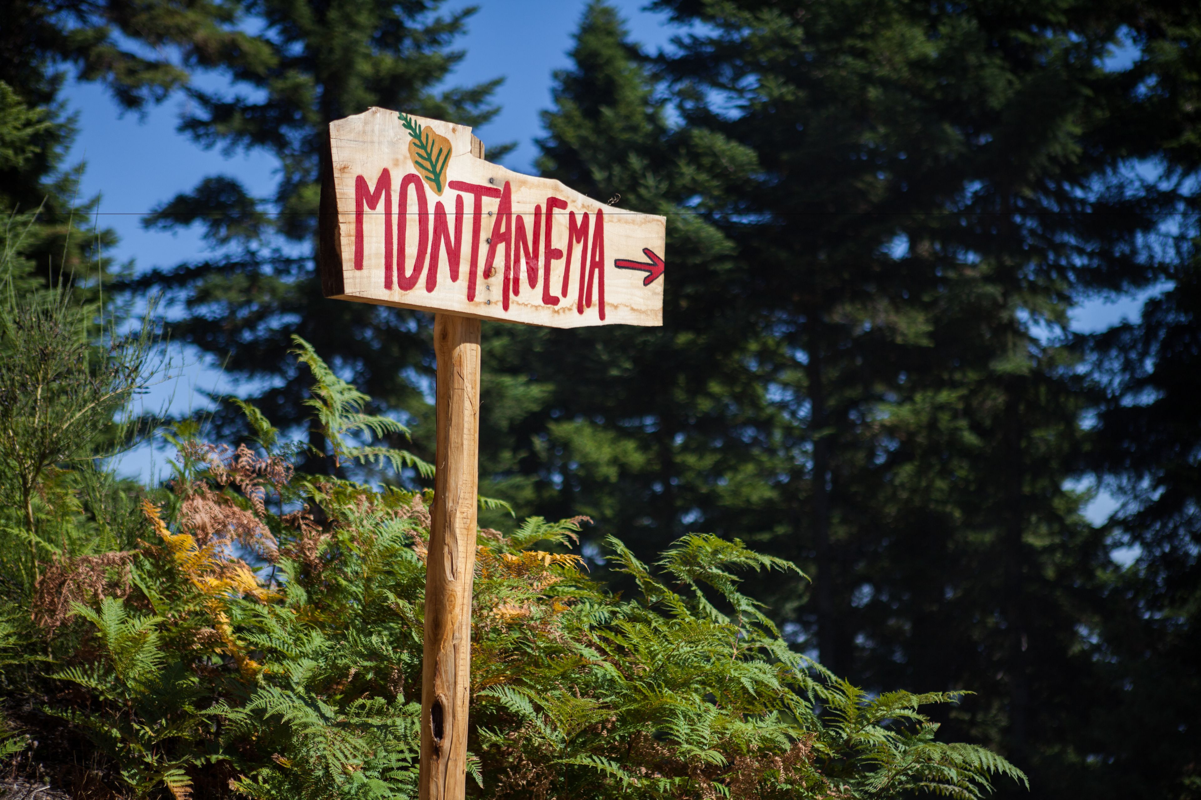 A wooden sign with the word "MONTANEMA" and an arrow pointing to the right.