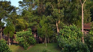 Una casa de madera rústica rodeada de vegetación exuberante y árboles.
