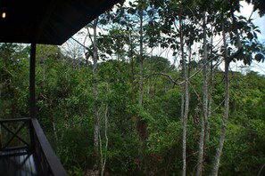 A forested area with a wooden structure, likely a cabin or lodge, surrounded by tall trees and dense foliage. - Sepilok Forest Edge Resort (Sandakan)