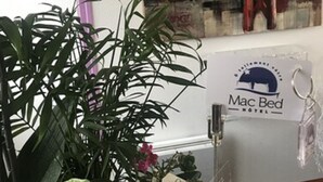 A hotel room with a large potted plant, a painting of a bridge, and a sign for Mac Bed Hotel. - Hotel Mac Bed (Poitiers)