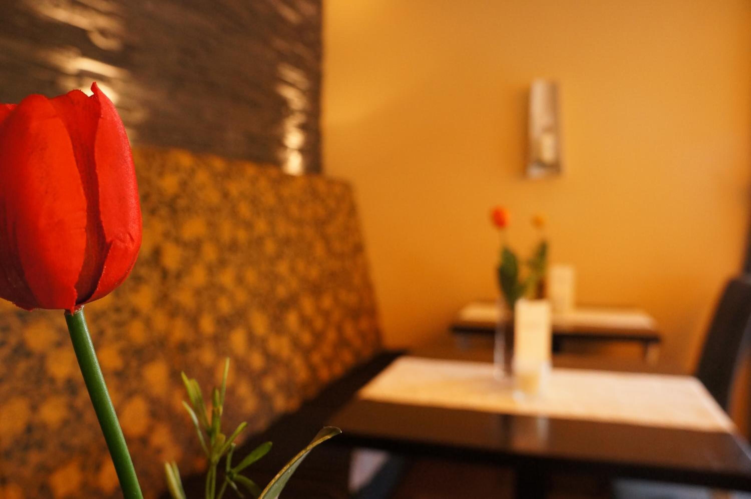 lunch and dinner served, regional cuisine