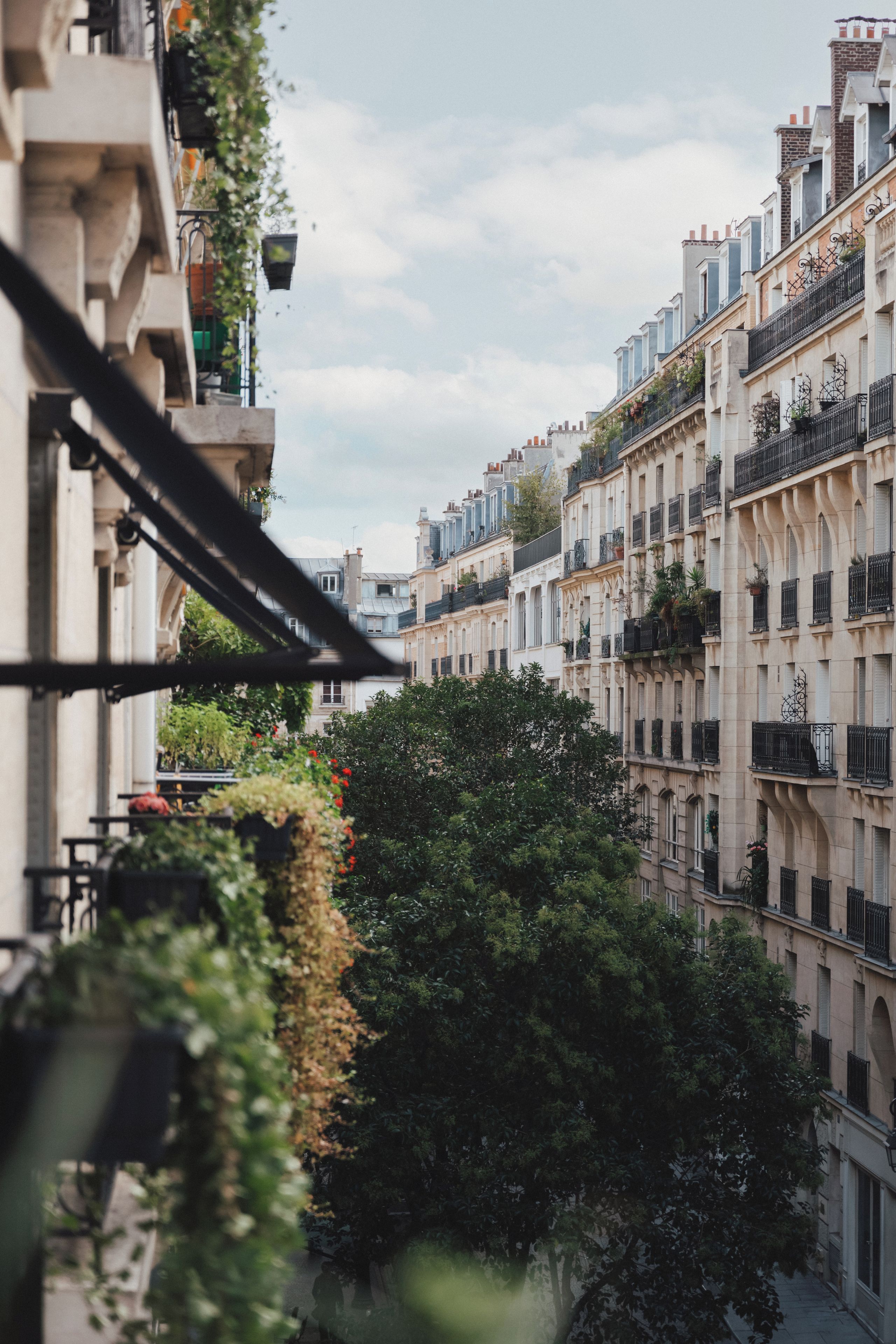 Foto - Hotel Bachaumont