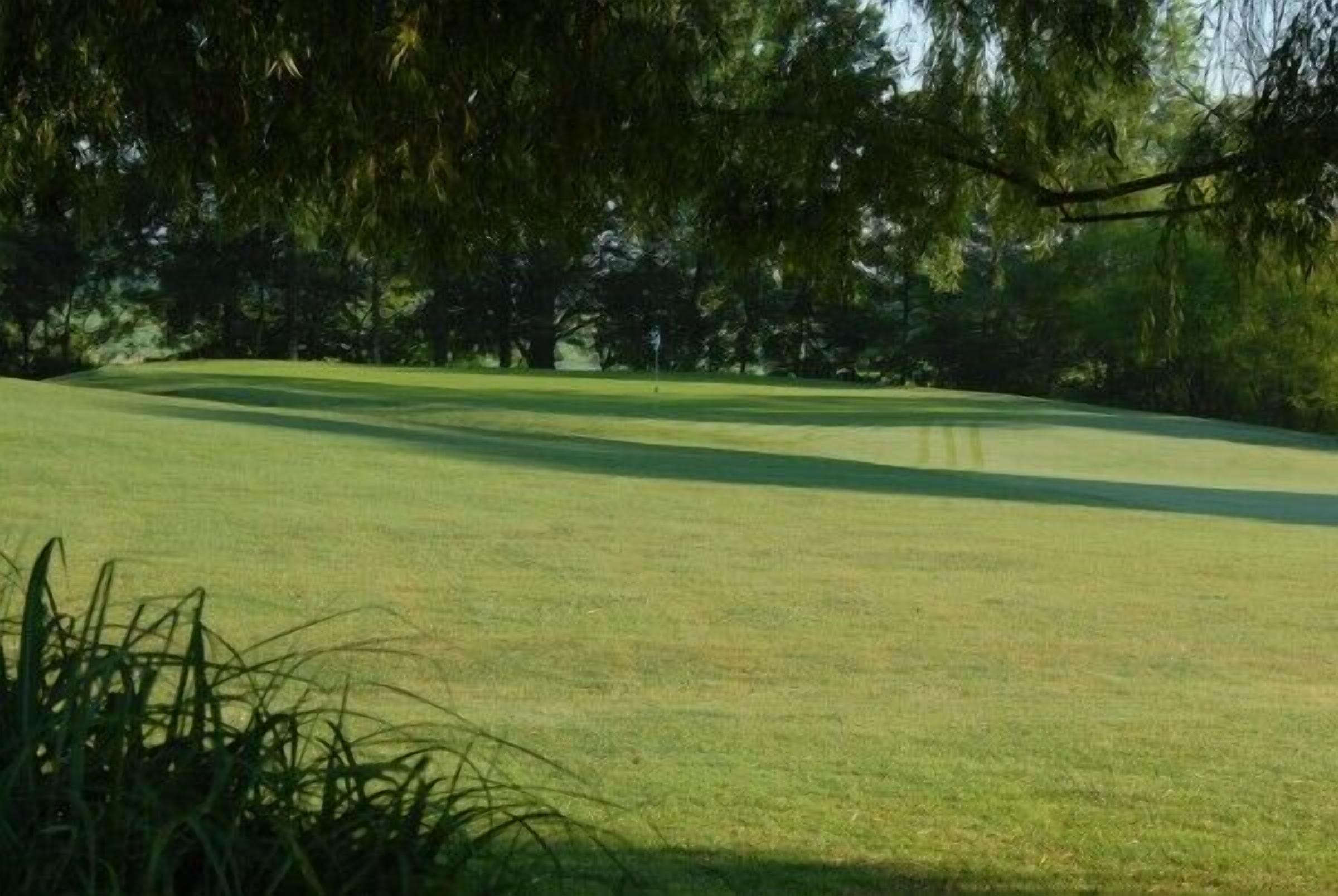 A golf course with a well-maintained green and trees in the background.