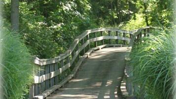 A wooden bridge in a wooded area.