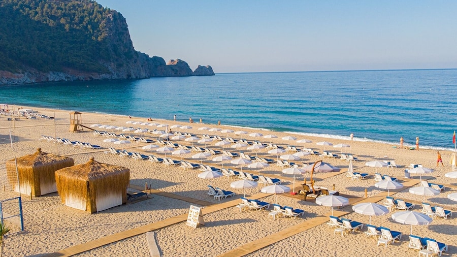 Villa Sunflower Hotel