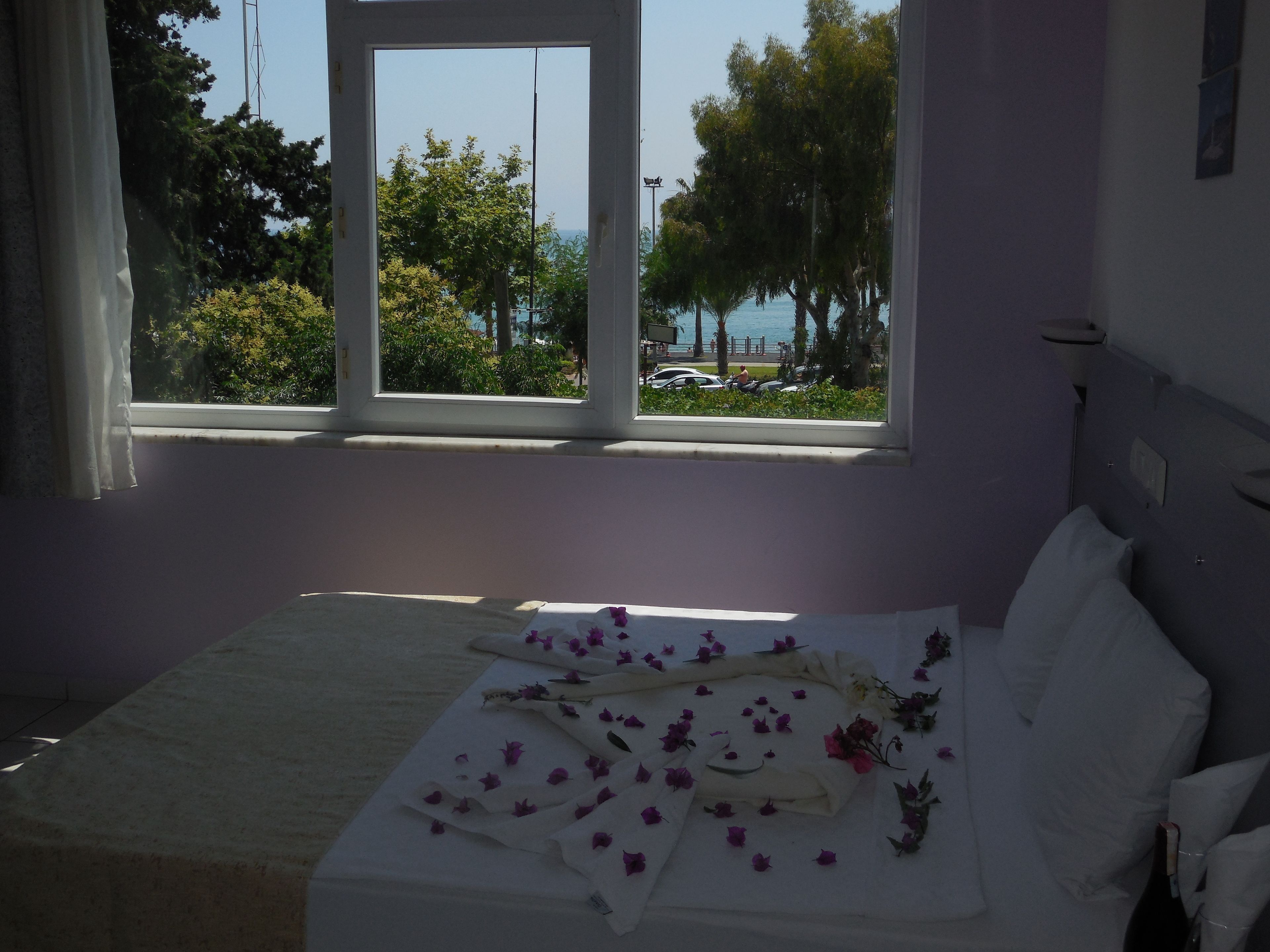 Foto - Resitalya Hotel