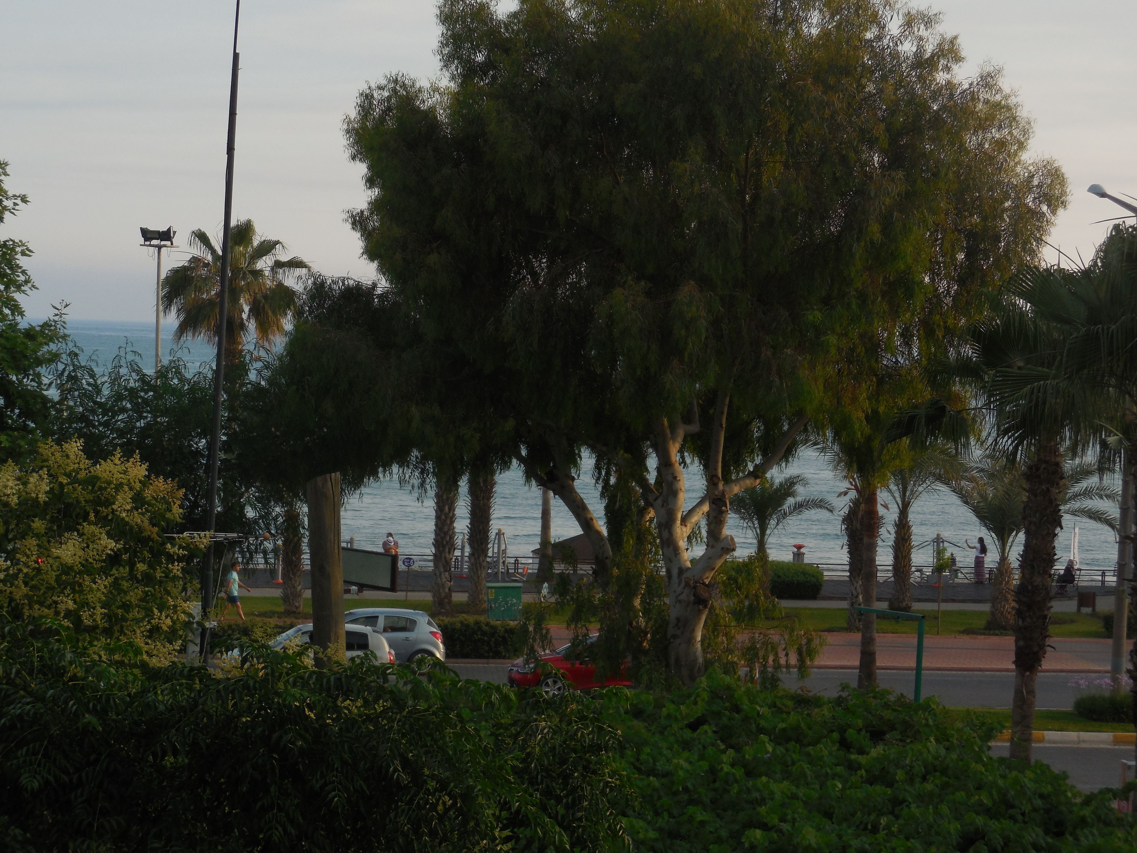 Foto - Resitalya Hotel