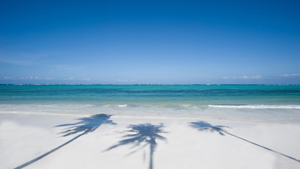 Una playa de arena blanca y agua azul cristalina.