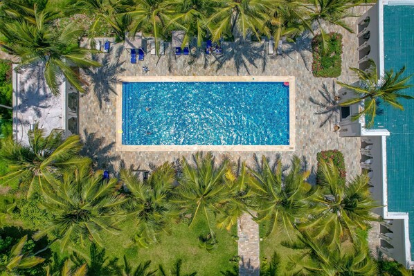 Vista aérea de una piscina rectangular rodeada de palmeras y sillas de descanso.