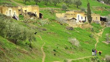 المنطقة المحيطة بالمنشأة