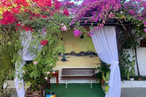 Giardino