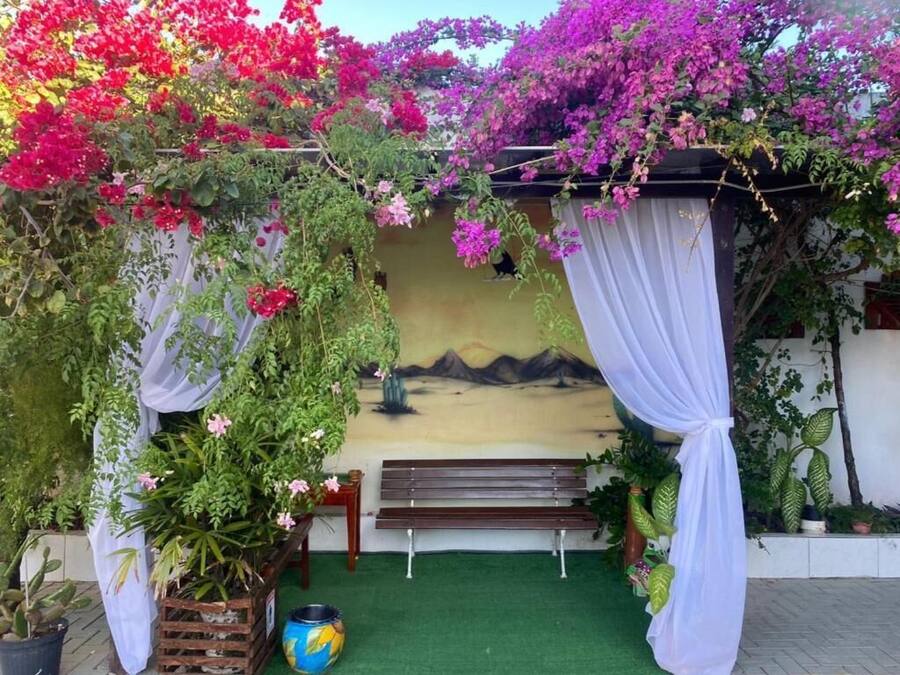 A garden with a wooden bench, a mural, and various plants.