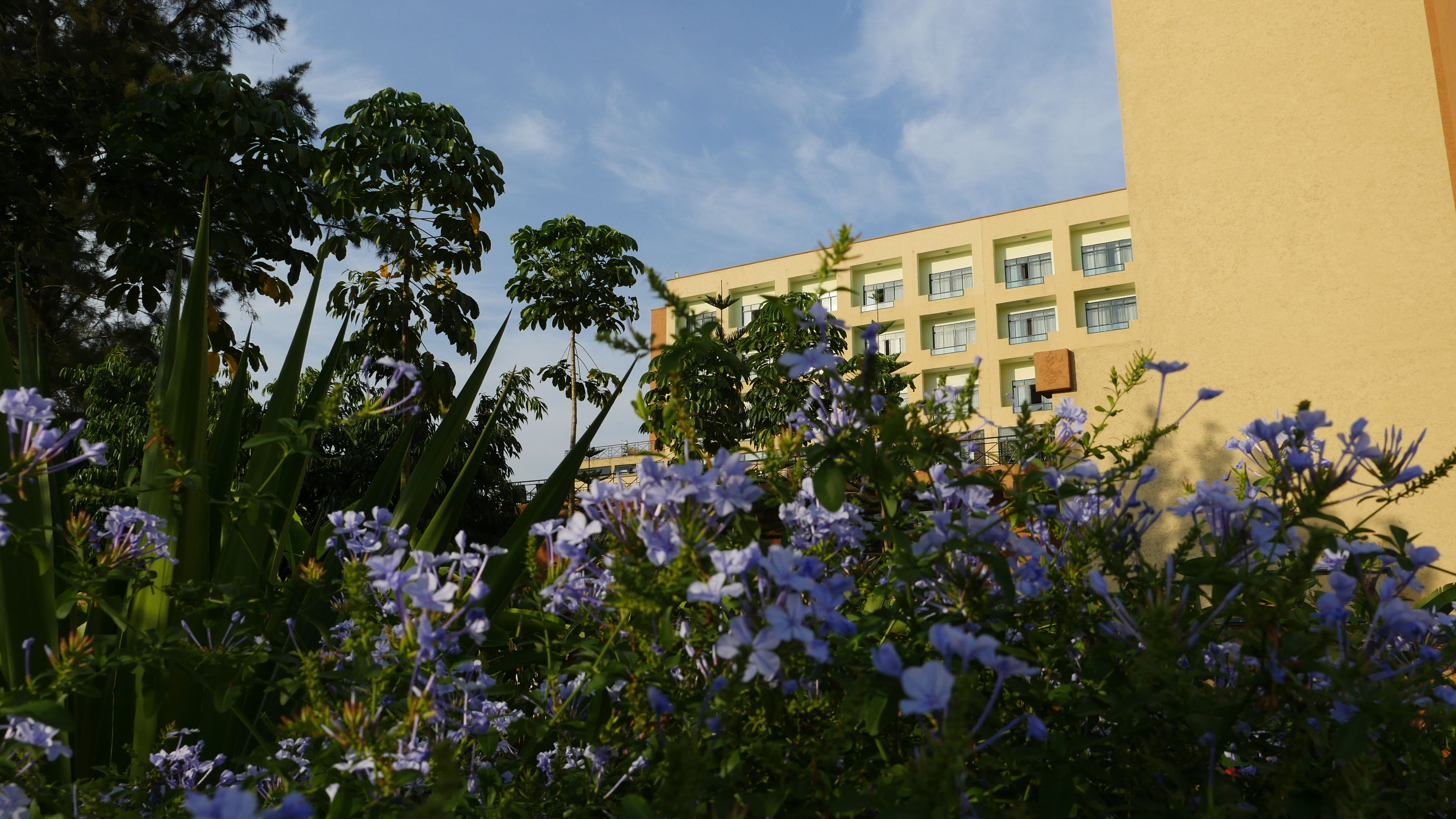 standard room, park view | park view