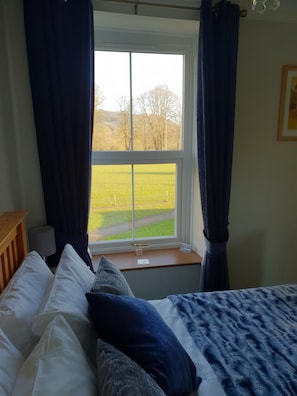 Room - Bronwye Guest House (Builth Wells)