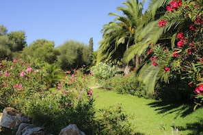 Jardín