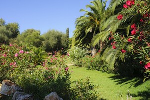 Un exuberante jardín con palmeras y plantas en flor.