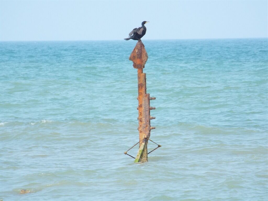海滩