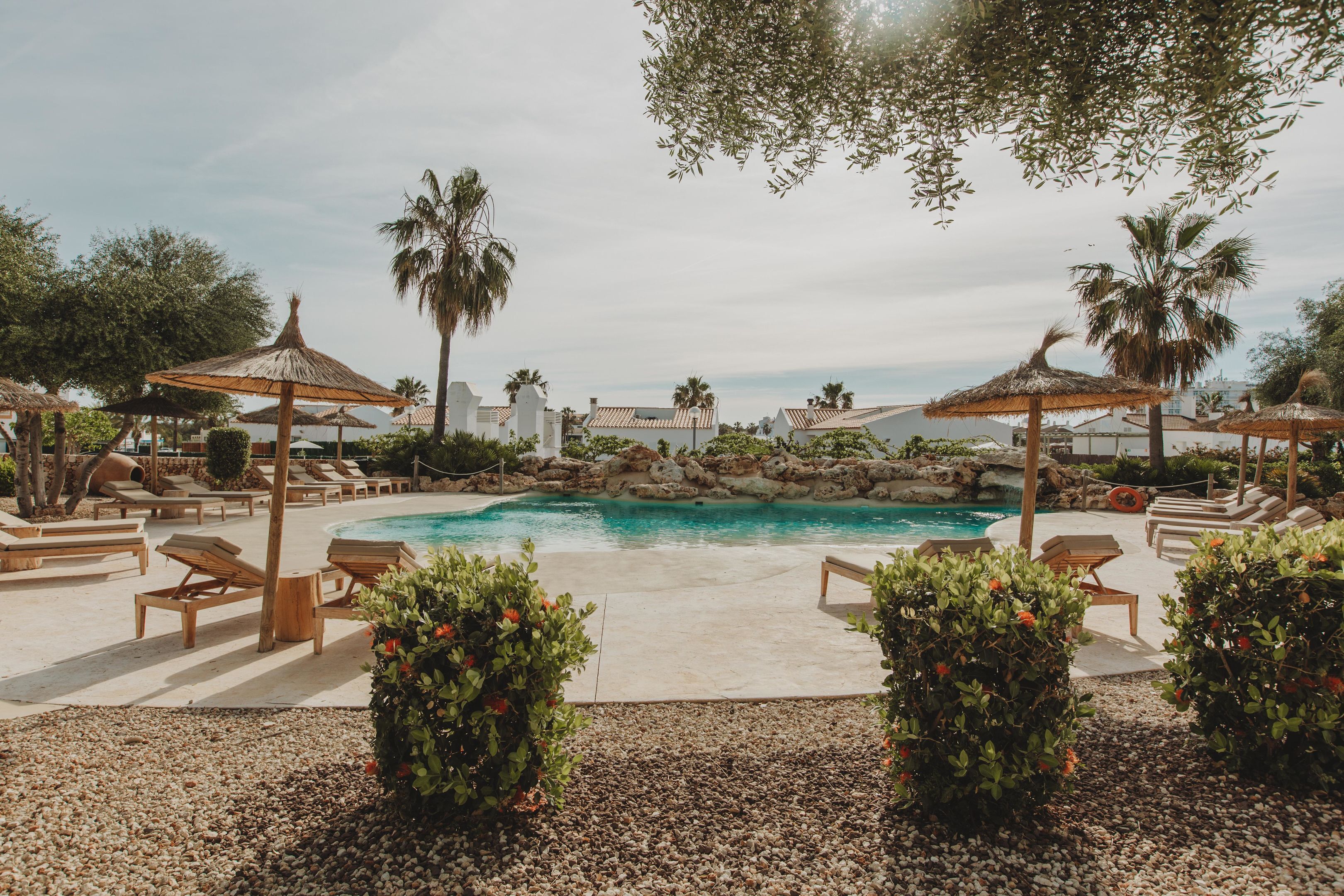 Zona de piscina con sillones de descanso, sombrillas y palmeras.