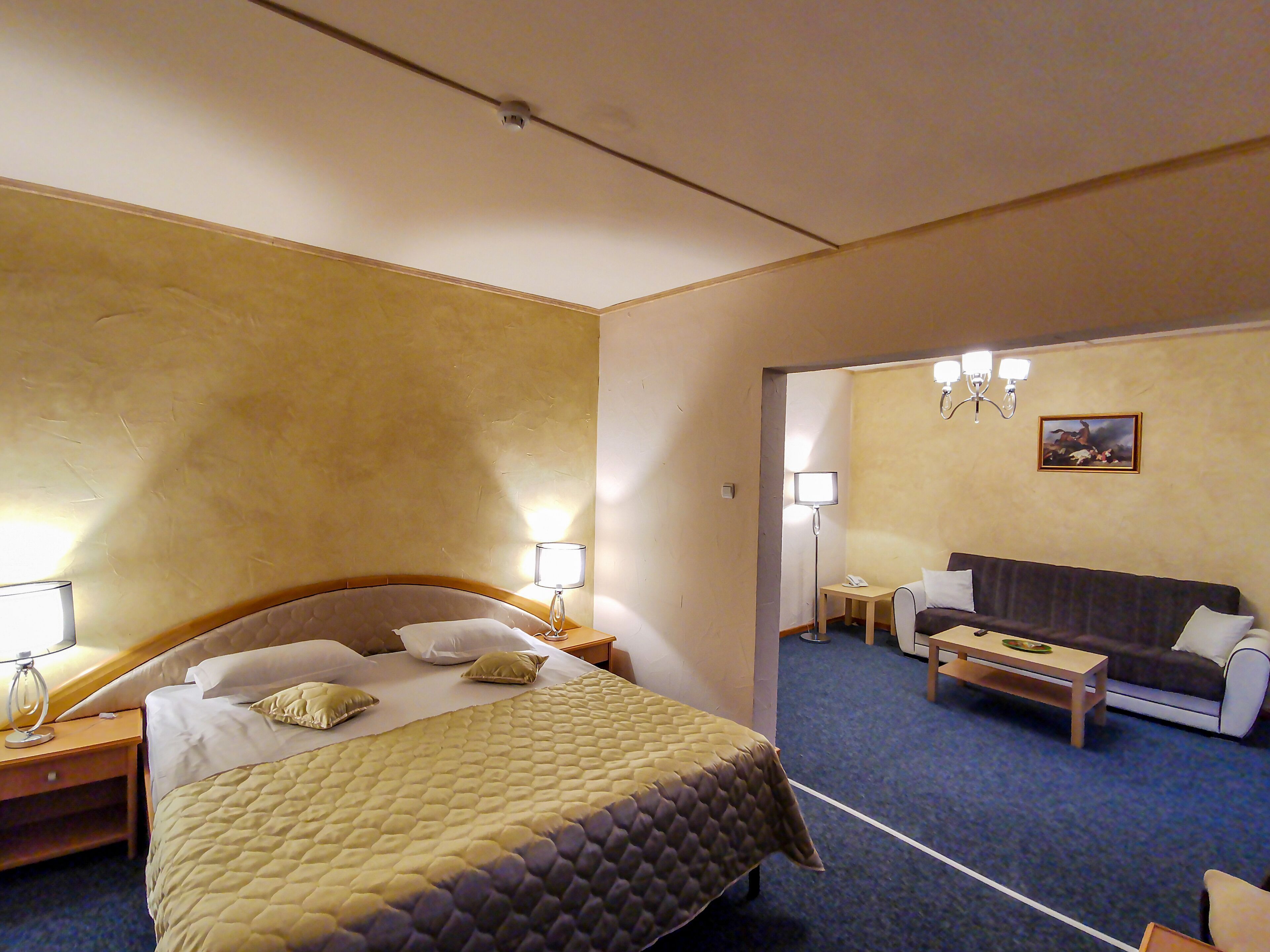 Minibar, safe på rommet og wi-fi (inkludert)