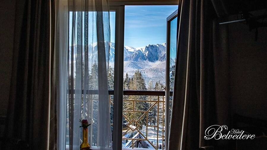 Hotel Belvedere Predeal