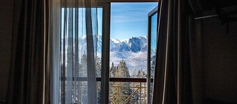 普雷代亞爾貝爾維德飯店