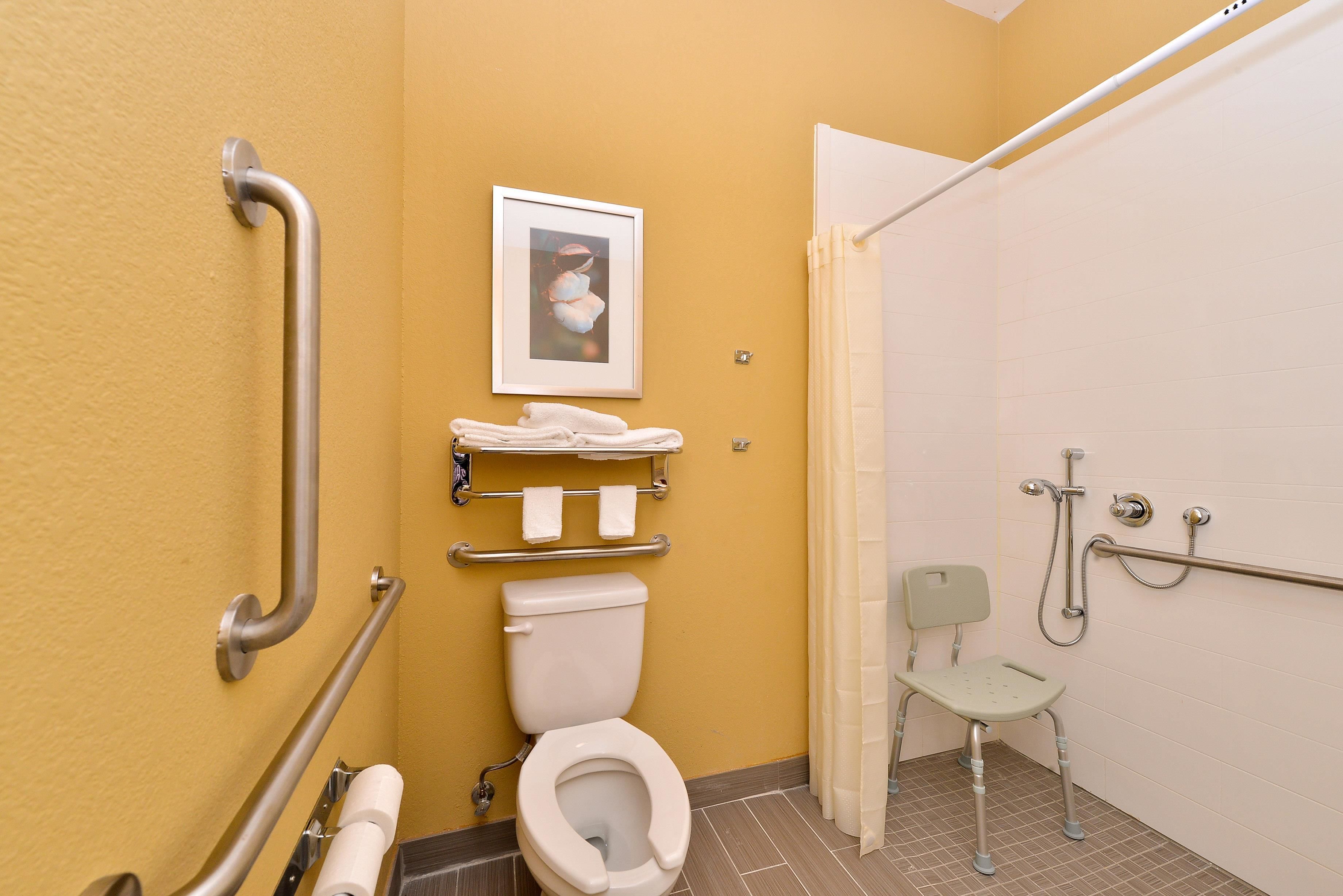 room, 1 king bed, accessible, non smoking (roll in) | bathroom | combined shower/bathtub, free toiletries, hair dryer, towels