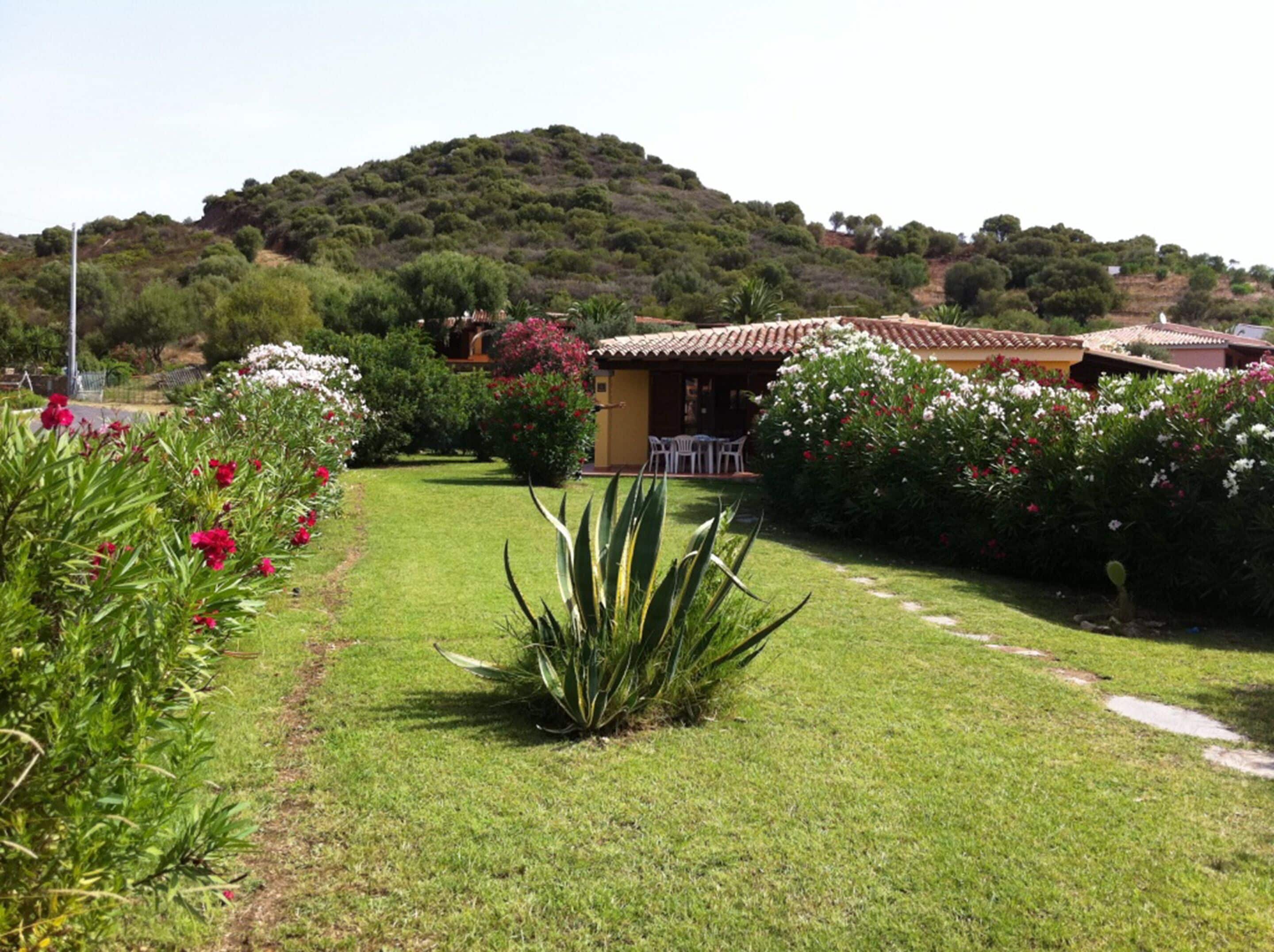 Um jardim bem cuidado com um caminho que leva a um edifício com telhado em telhas.