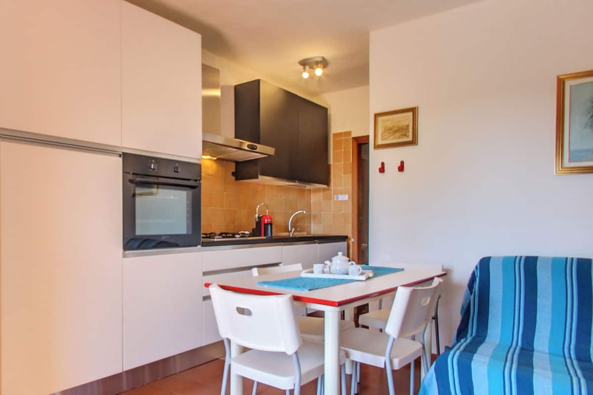 Appartement, 1 chambre | Terrasse/Patio