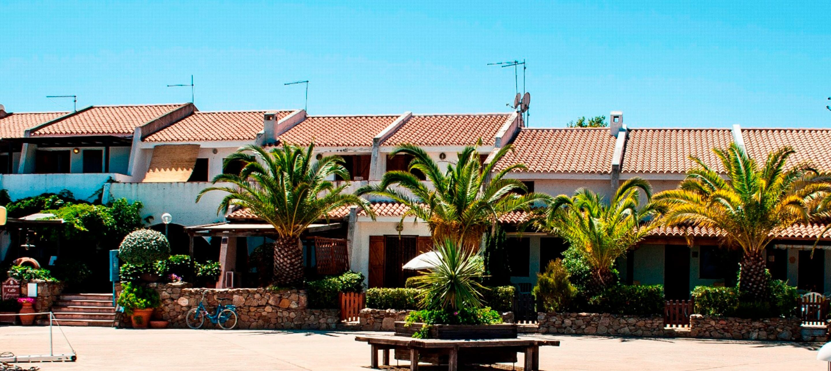 Un patio con palmeras, un banco de madera y un edificio con techo de tejas.