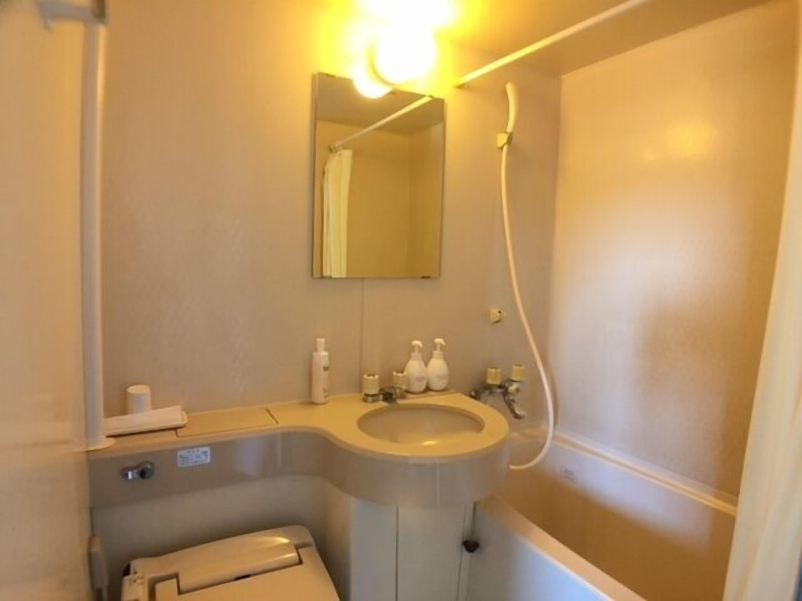 combined shower/bathtub, free toiletries, electronic bidet, towels