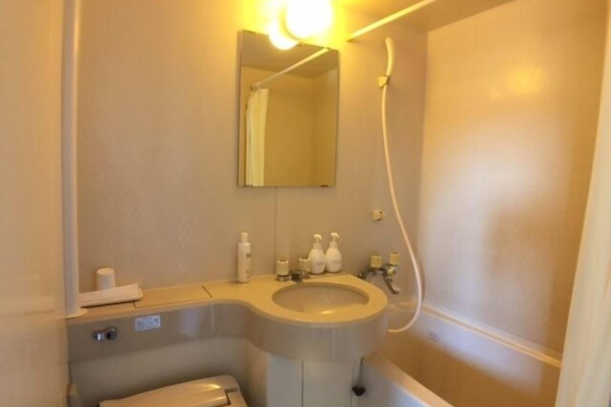 combined shower/bathtub, free toiletries, electronic bidet, towels