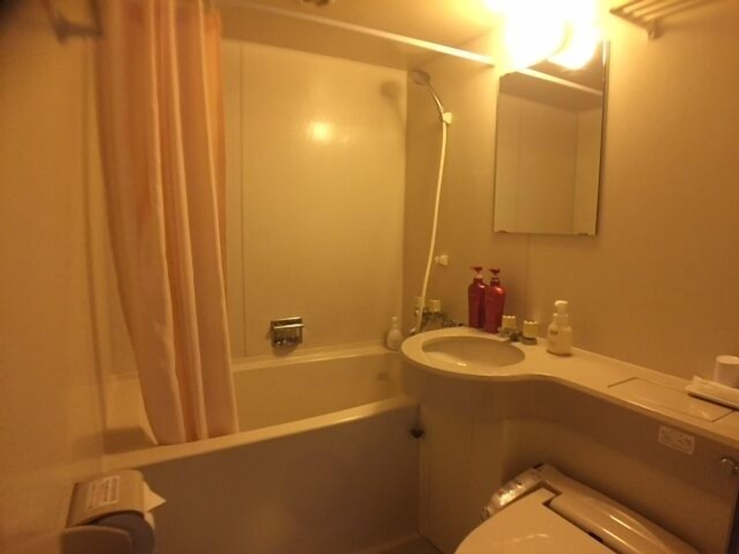 combined shower/bathtub, free toiletries, electronic bidet, towels