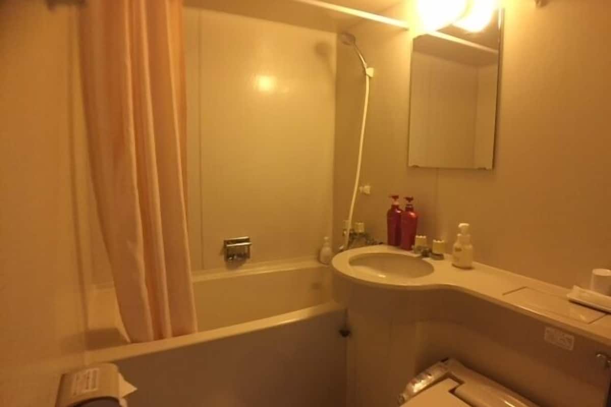 combined shower/bathtub, free toiletries, electronic bidet, towels