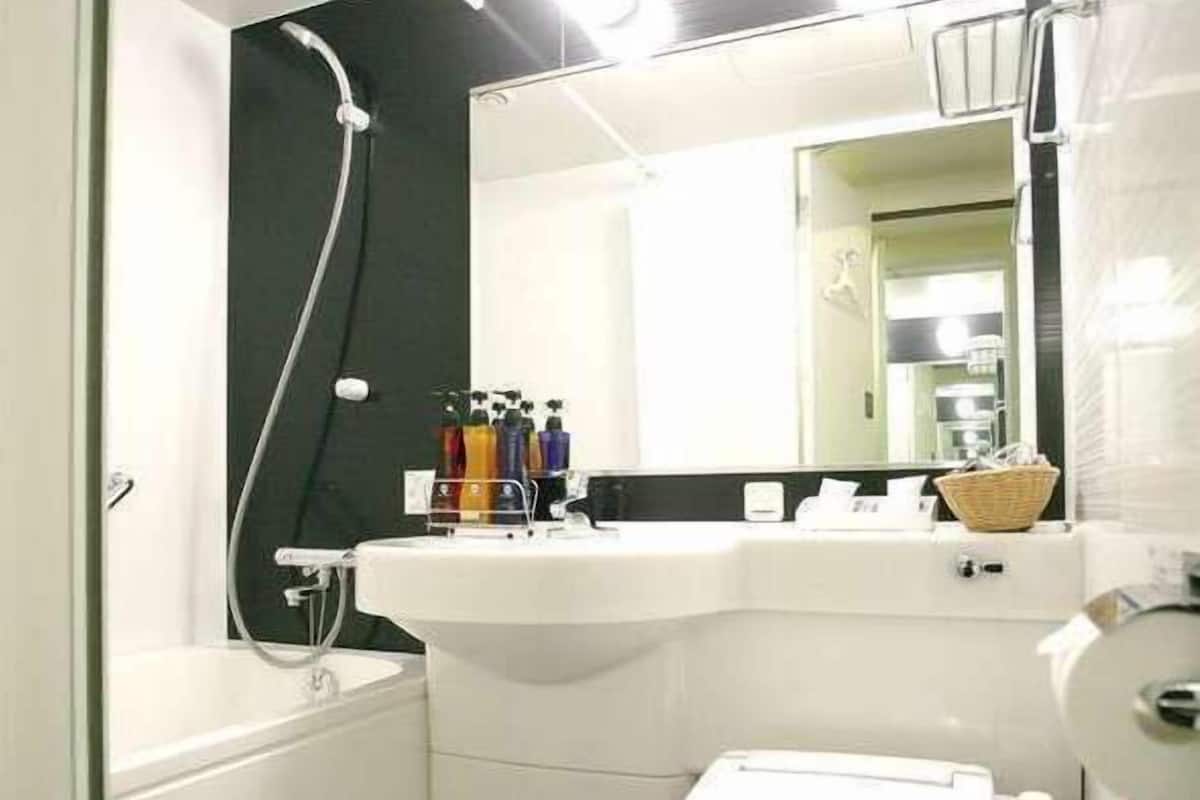 combined shower/bathtub, free toiletries, hair dryer, slippers