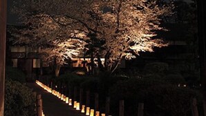 Un sentiero fiancheggiato da lanterne illuminate che conduce a una struttura in legno tradizionale con un tetto decorativo.
