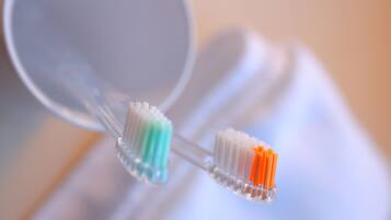 Dos cepillos de dientes con cerdas de colores distintos.