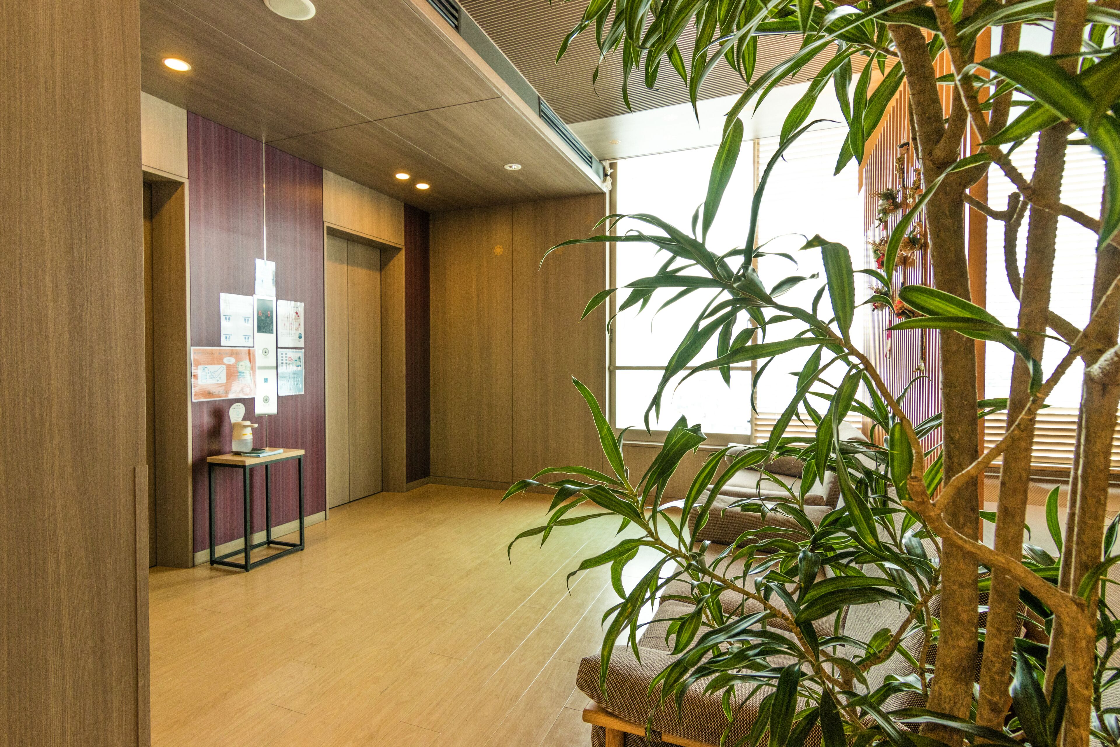 Une pièce spacieuse dotée d’un plancher en bois, d’une grande plante en pot et d’un coin salon avec un canapé et des coussins.