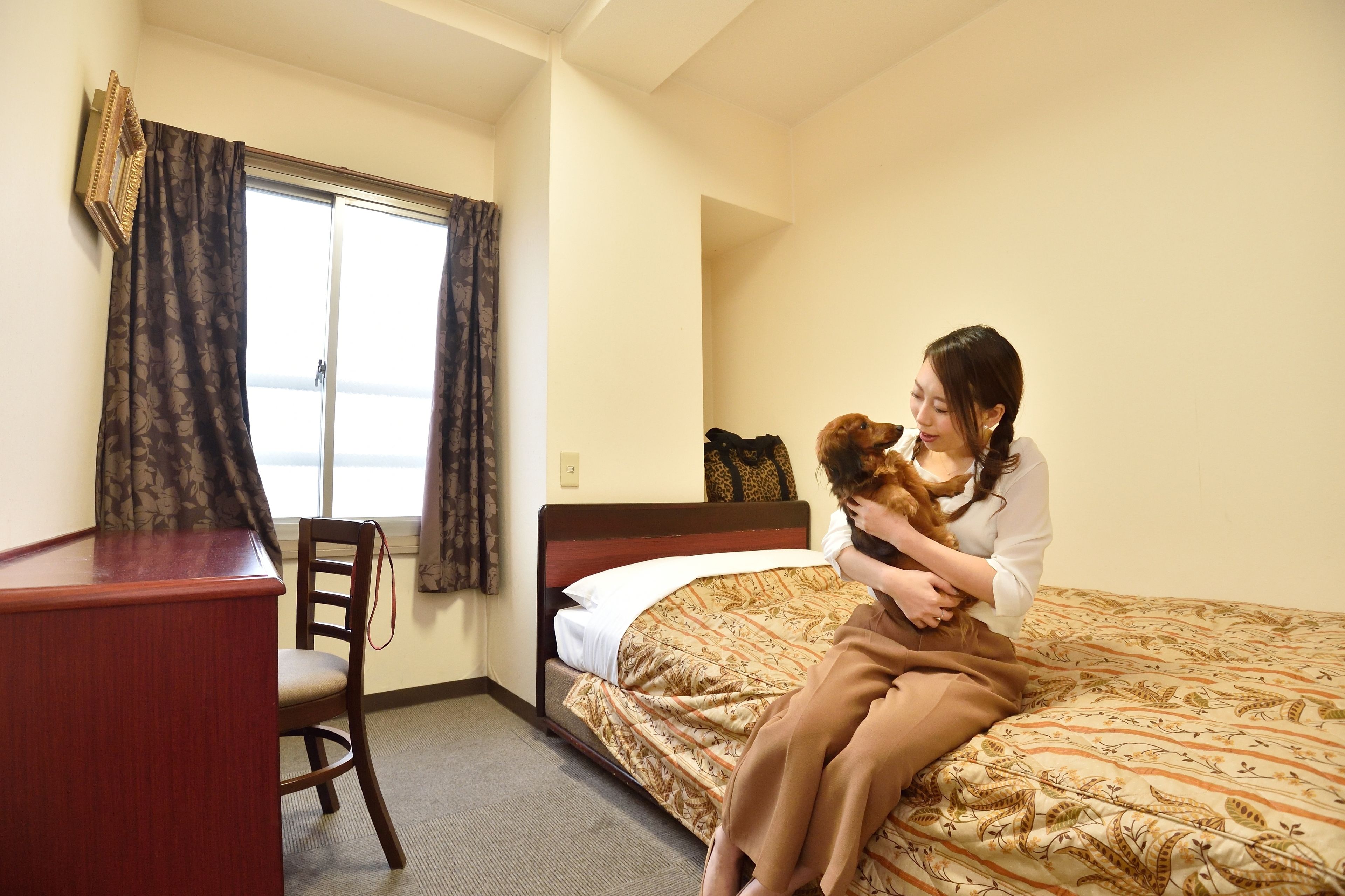 A hotel room with a bed, a desk, and a chair.