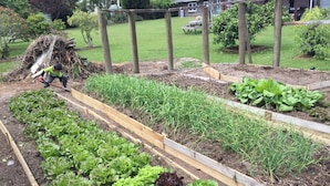A garden with raised beds of various vegetables and a child tending to the plants. - Lakefront Resort (Rotorua)