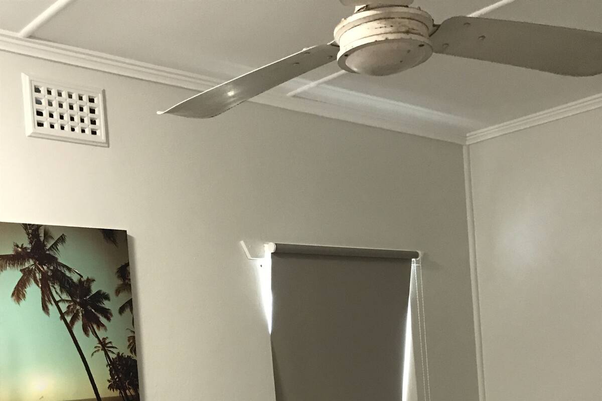 A single bed with a blue headboard, a ceiling fan, a window with a blind, and a wall-mounted picture of palm trees.