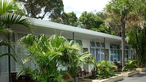 A modern building with large windows and a garden area with various plants. - Park Beach Hotel Motel (Coffs Harbour)