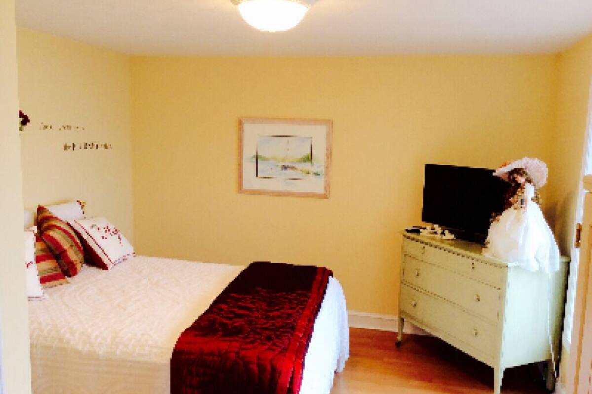 A bedroom with a bed, a dresser, and a television.