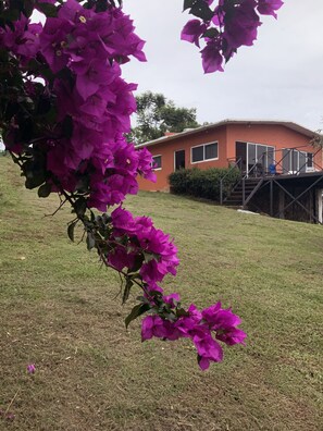 Superior Cabin | Minibar, individually decorated, individually furnished, rollaway beds - Cabañas El Guarani (Tepoztlan)