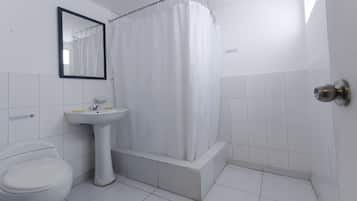 Regadera, amenidades de baño de diseñador, secadora de cabello, toallas